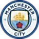Manchester City Fencing